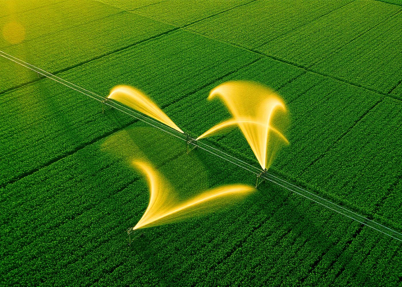 Aerial view of smart irrigation watering green farmland
